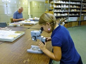alyssa microscope shell