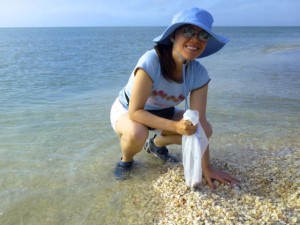 amy seashells captiva florida amy seashells captiva florida