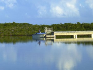 cardinal arthur boat dock