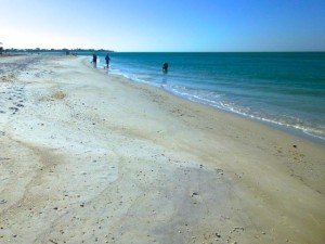 cayo costa florida state park beach