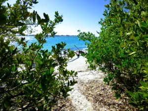 cayo costa trail paradise