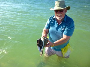 mike live lightning whelk