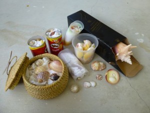 packing seashells