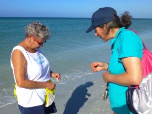 sharing shells sharing shells