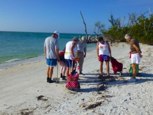 shell collecting cayo costa florida