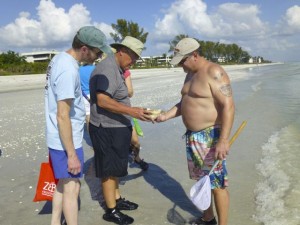 touching live whelk touching live whelk