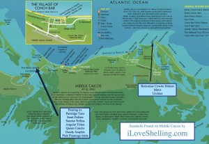 Middle Caicos Seashell Map