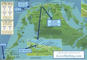 North Caicos Seashell Map
