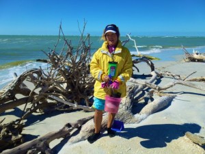 debbie tree roots cayo debbie tree roots cayo