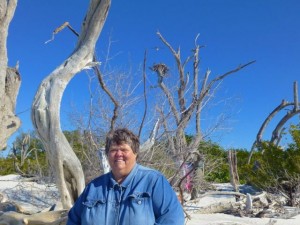 donna osprey nest donna osprey nest