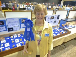 linda greiner seashell xrays blue ribbon award linda greiner seashell xrays blue ribbon award