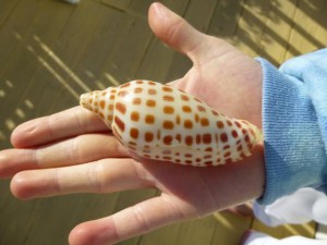 mariah junonia