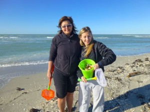 shelly kayle indiana seashelling shelly kayle indiana seashelling