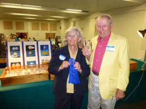 amy bill tripp shell award