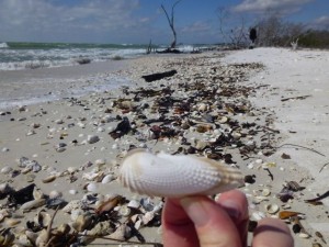 angel wing wrack lovers key