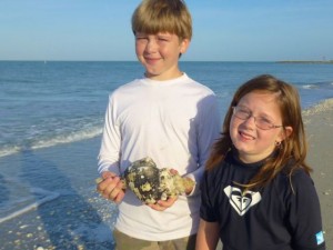 parker summerlin florida seashell parker summerlin florida seashell