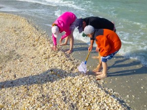 sanibel stoop mary mick jack sanibel stoop mary mick jack