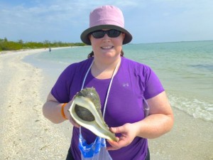 Erin live lightning whelk cayo Erin live lightning whelk cayo