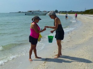 giving seashells giving seashells