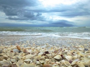 tarpon bay rd beach sky