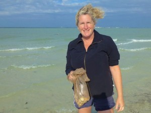 allison nc seashells sanibel