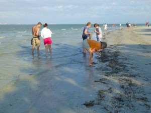 beach combers sanibel march