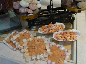 decorate seashell coasters decorate seashell coasters
