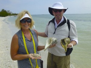 find whelks cayo florida clark find whelks cayo florida clark