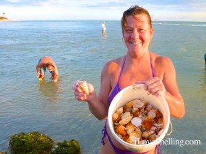 finding buckets of shells finding buckets of shells