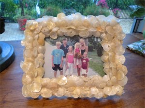jingle shell frame sanibel jingle shell frame sanibel