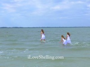 mermaid dolphins iLS