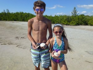 sand dollars marco florida