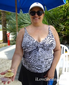 Andrea shells cayo