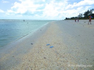 Tarpon Beach Access Sanibel Tarpon Beach Access Sanibel
