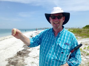 clark golden olive cayo costa