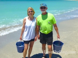 donna rusty shell cayo costa donna rusty shell cayo costa