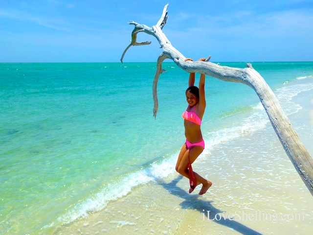 girl in bikini swinging from tree on a tropical beach