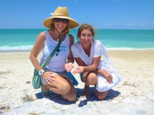 pam rambo guide cayo costa shelling pam rambo guide cayo costa shelling