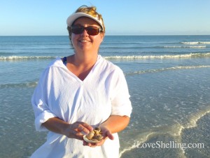 ronetta sanibel beach shells ronetta sanibel beach shells