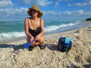 sharene pile shells bp sharene pile shells bp