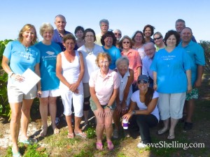 shellabaloo 2 sanibel island inn iloveshelling.com pam rambo shellabaloo 2 sanibel island inn iloveshelling.com pam rambo