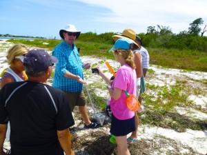 sheller clark draws shell crowd