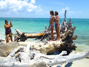 tropical photo op cayo costa