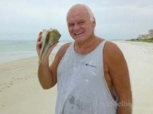 Wesley whelk fort myers beach florida Wesley whelk fort myers beach florida