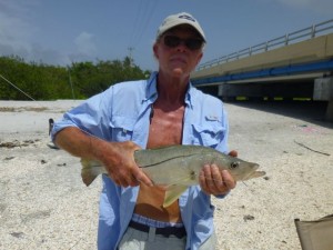 danny snook fish sanibel