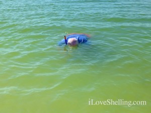 snorkel sanibel lighthouse beach snorkel sanibel lighthouse beach