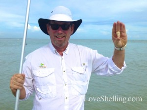super sheller clark sanibel alphabet cone super sheller clark sanibel alphabet cone