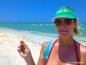 susan sanibel roseate spoonbill feather susan sanibel roseate spoonbill feather