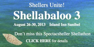Island Inn Shellabaloo 3 Island Inn Shellabaloo 3