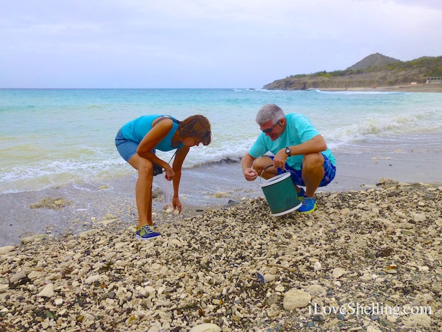 beach combing guantanamo cuba lee susan 